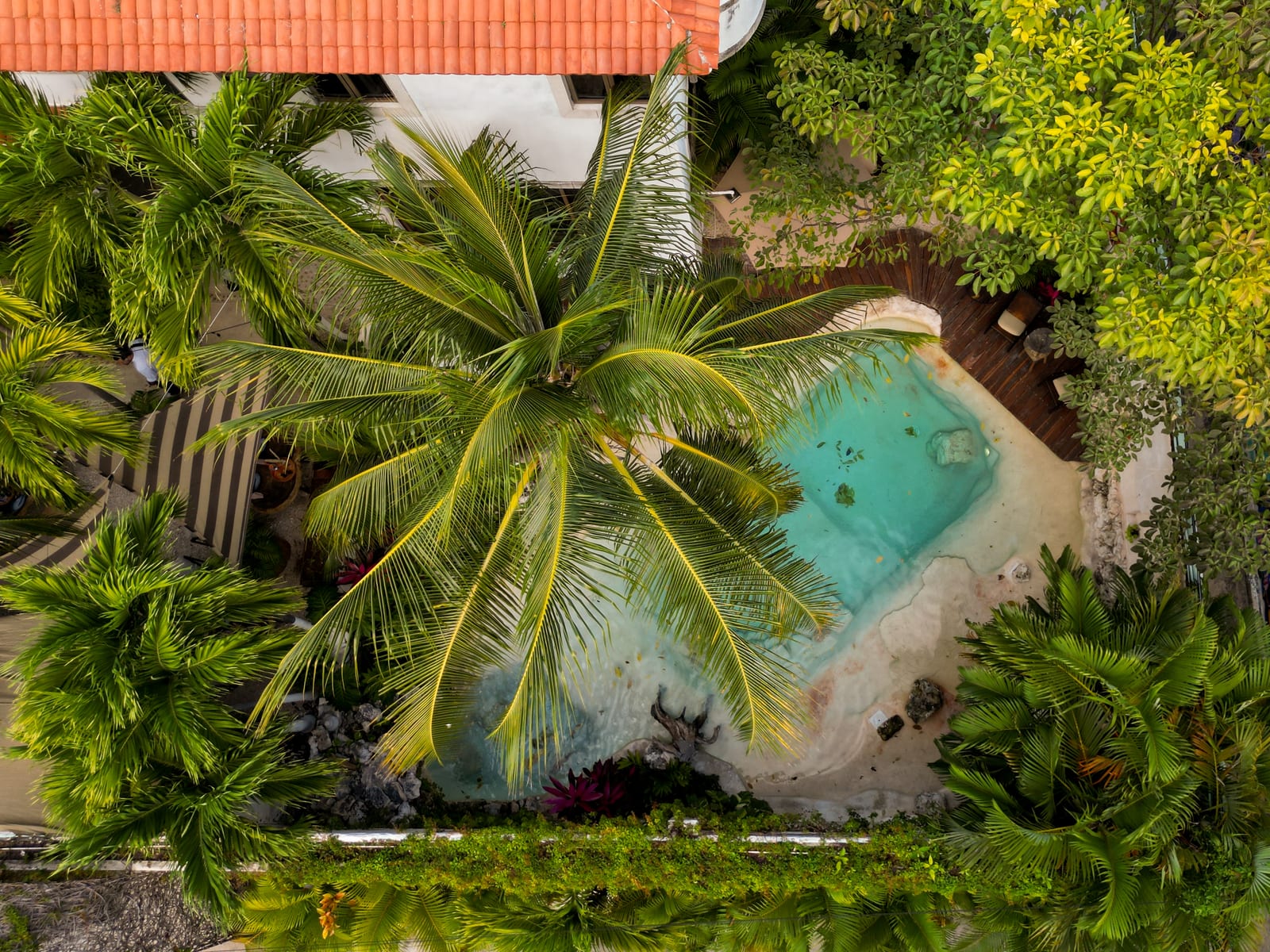 Vista aérea de la alberca cenote entre palmeras del Mezcal Hotel Boutique