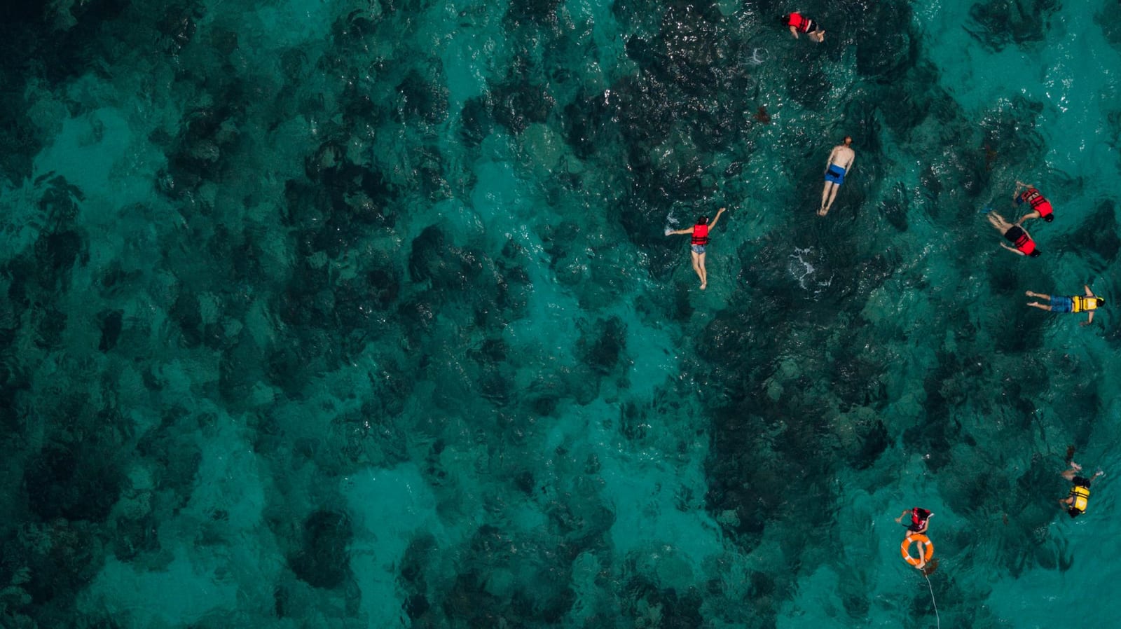 Personas haciendo snorkel sobre un arrecife turquesa en Cozumel