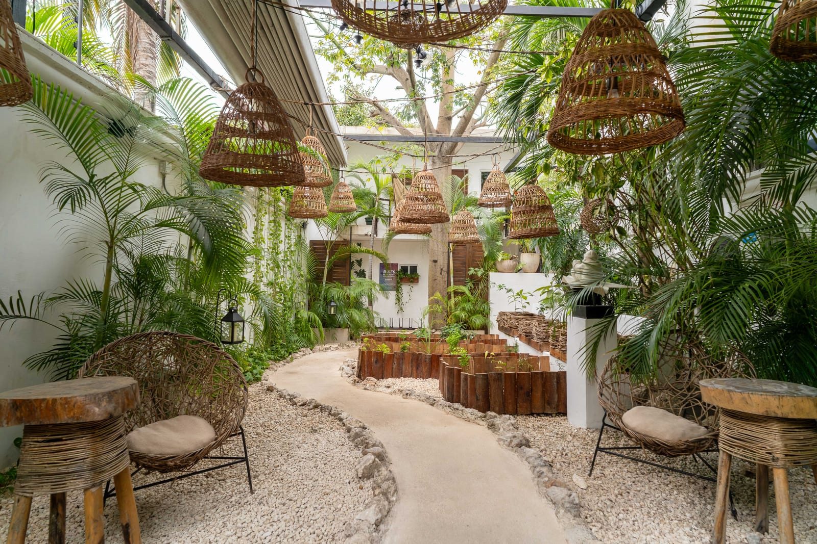 Allée-jardin paisible de l'hôtel avec une végétation luxuriante