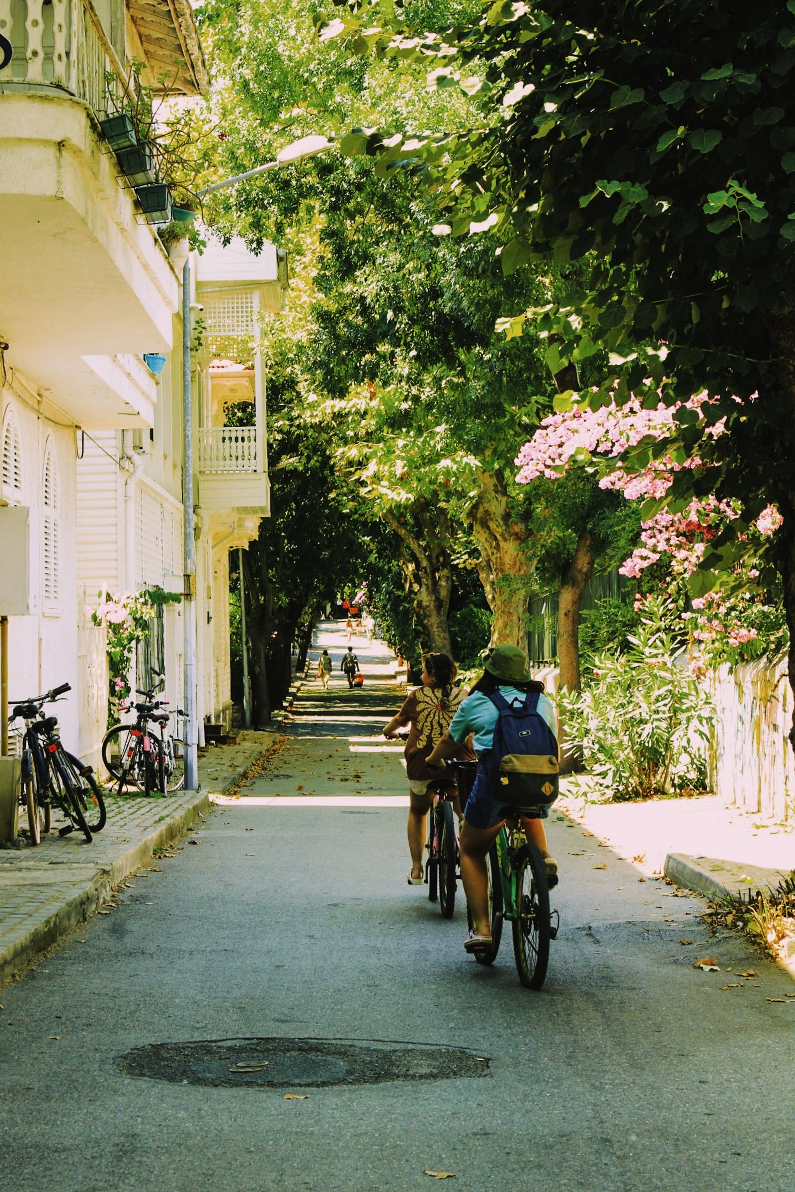 Bicicletas en una calle arbolada