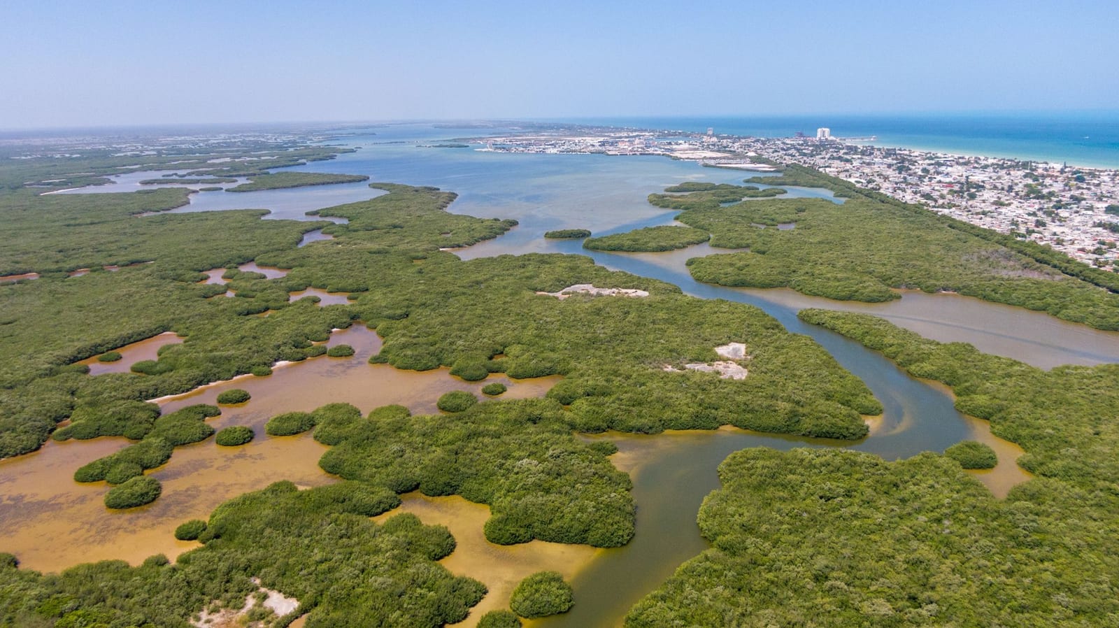 Manglares y canales de agua vistos desde el aire