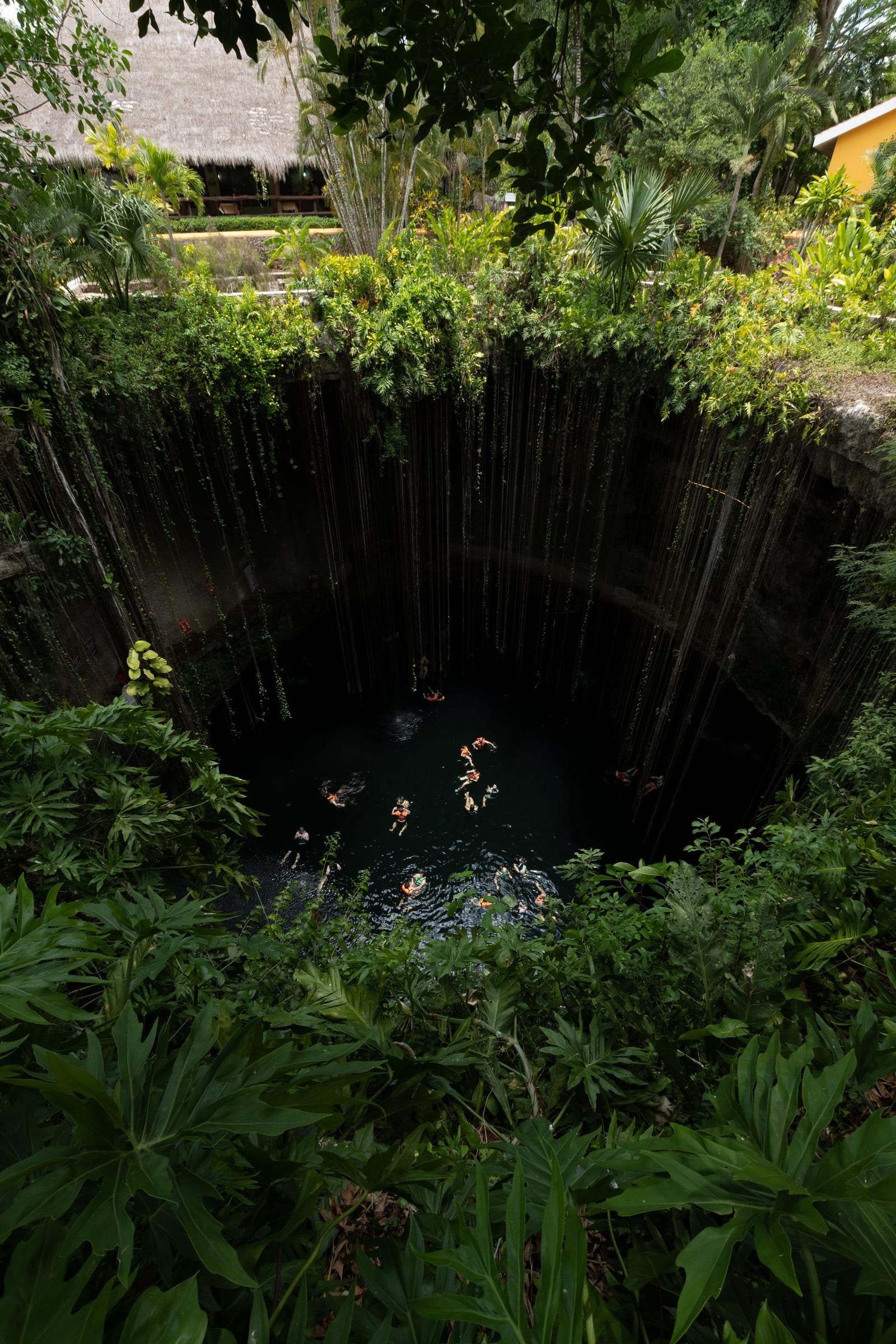 Cenote de aguas turquesa rodeado de selva
