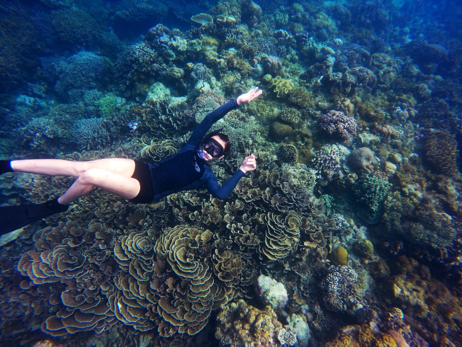 Persona haciendo snorkel sobre un arrecife de coral