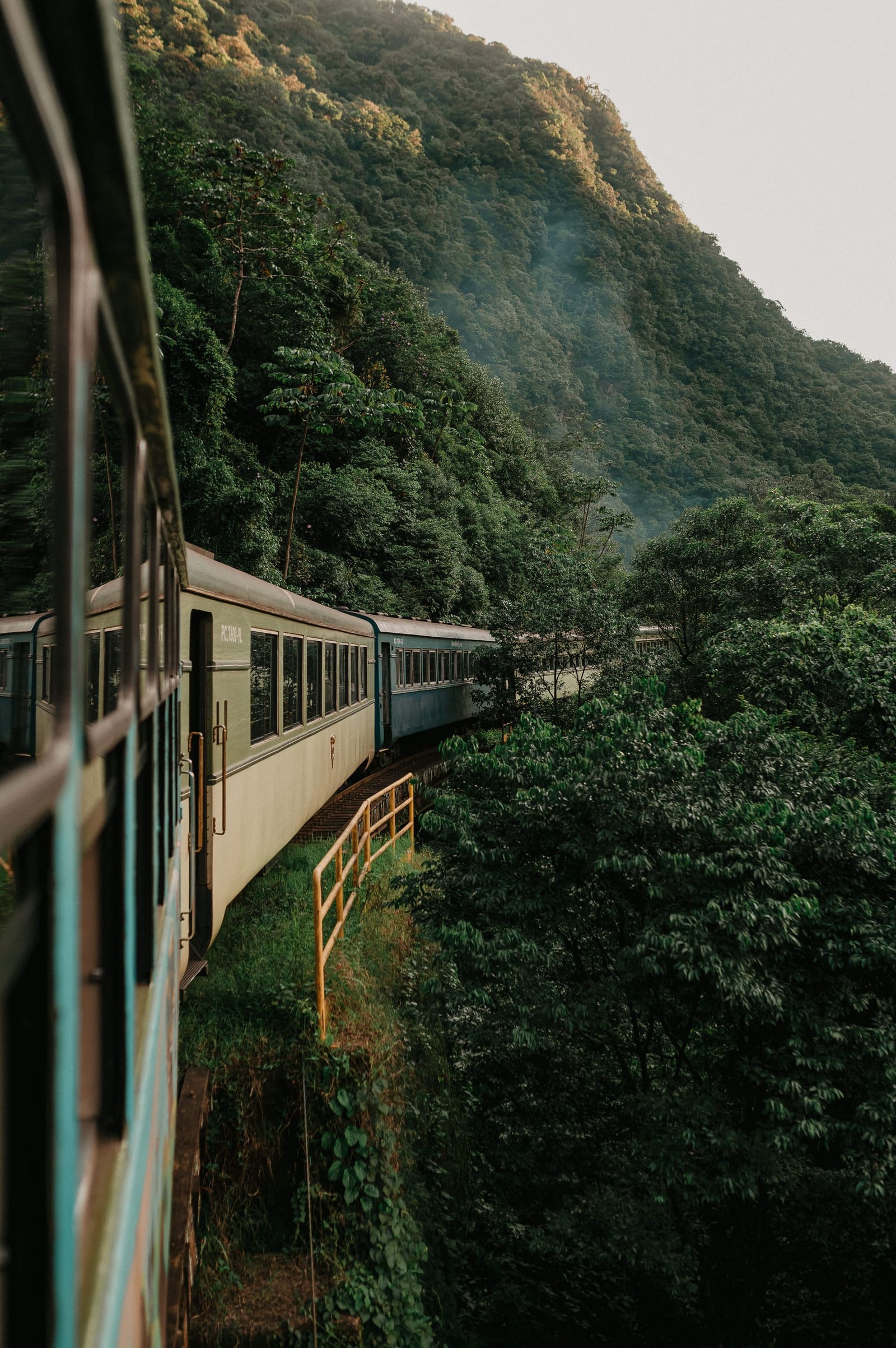 Modern train crossing the jungle of the peninsula